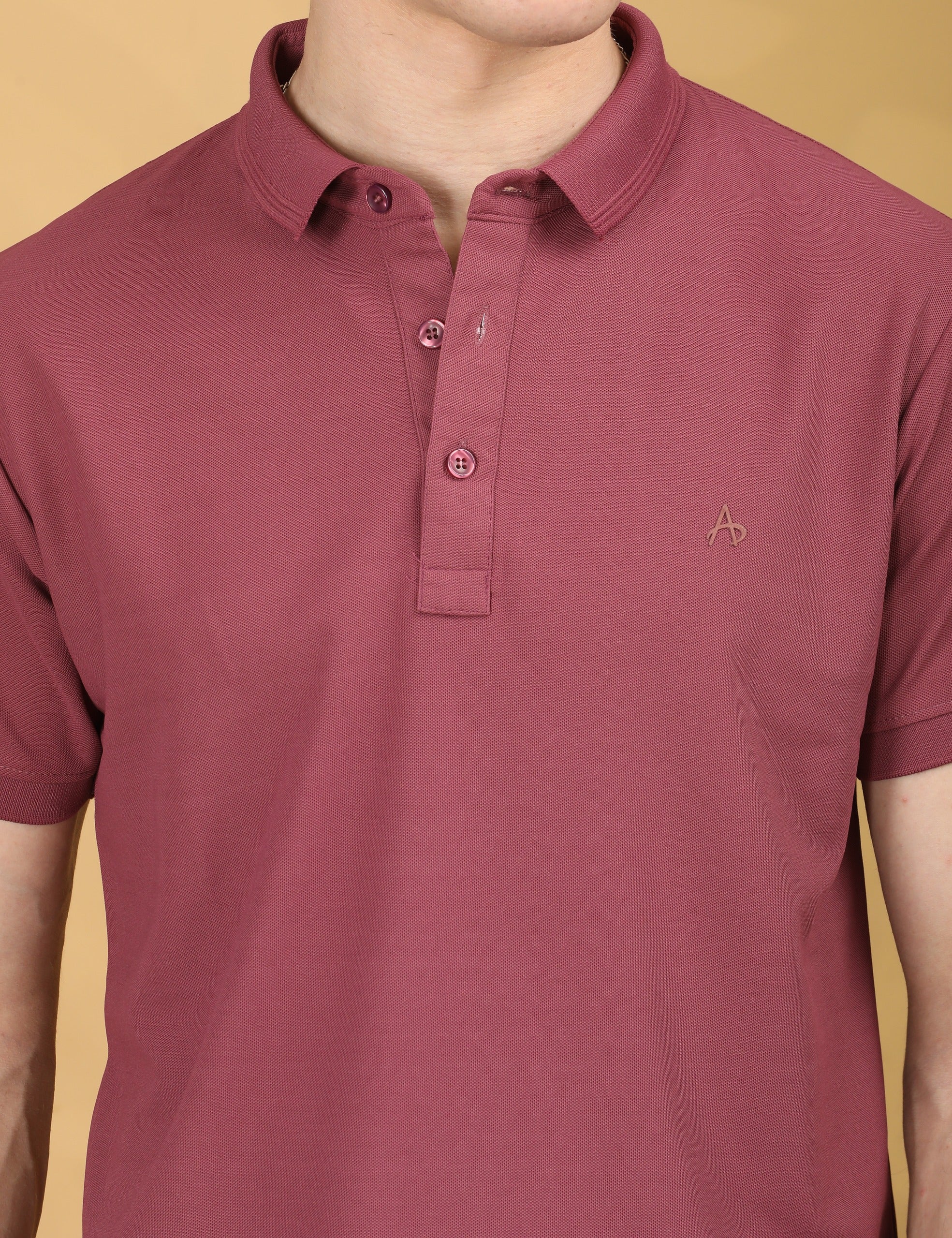 Half Sleeve Regular Fit Onion Polo T-Shirt