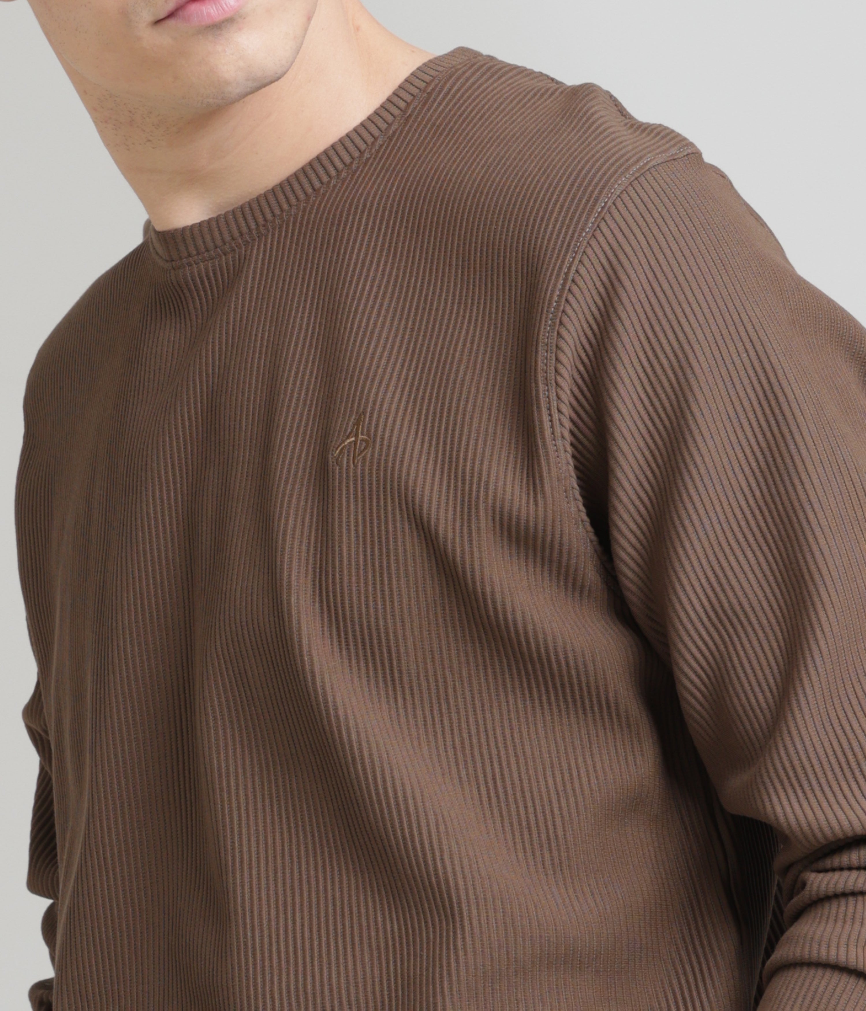 Brown Regular Fit Sweatshirt: Cozy, Casual Comfort for Chilly Days