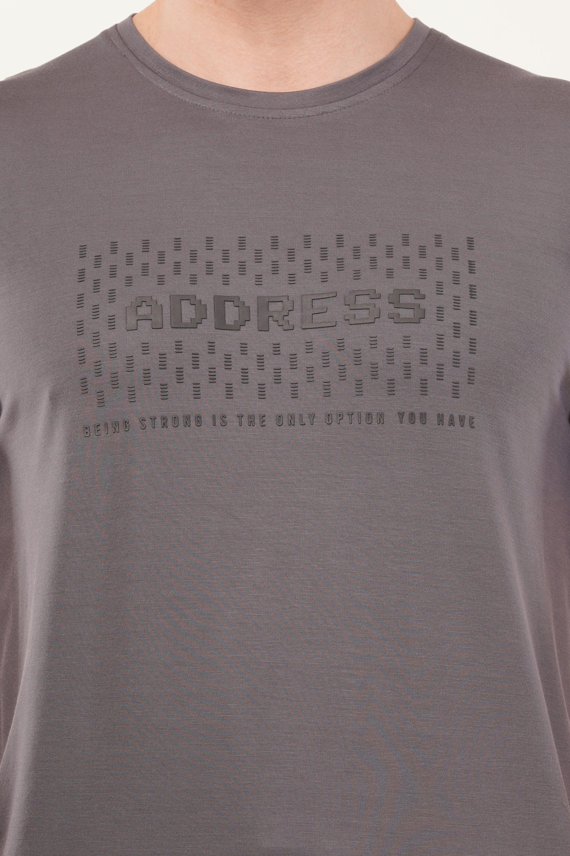 Half Sleeve Regular Fit Gray T-Shirt
