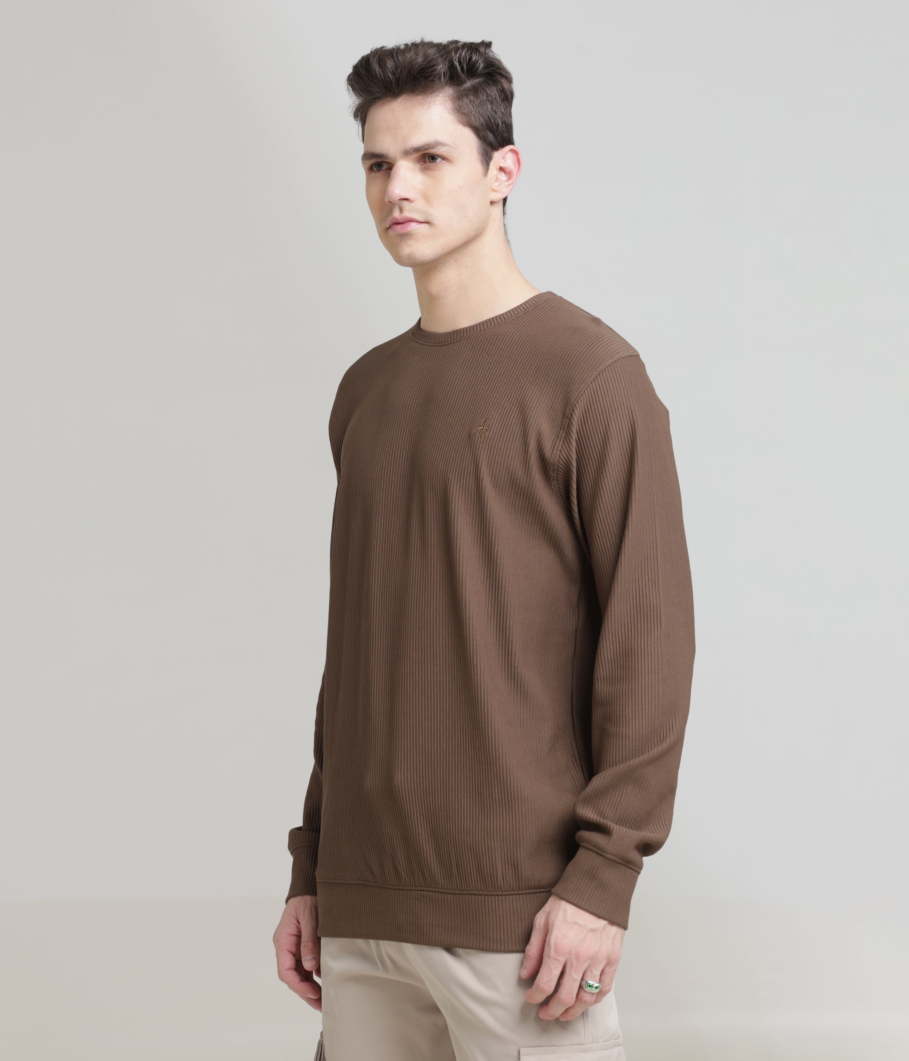 Brown Regular Fit Sweatshirt: Cozy, Casual Comfort for Chilly Days