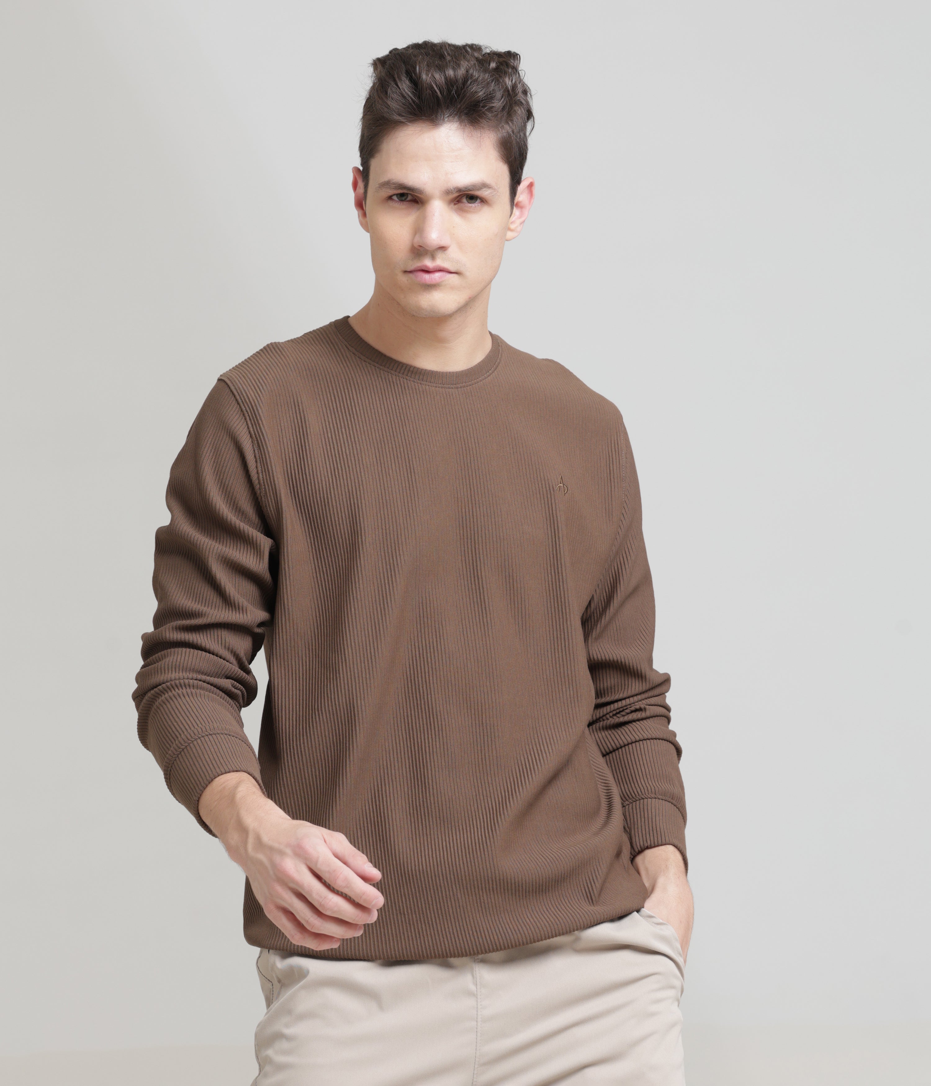 Brown Regular Fit Sweatshirt: Cozy, Casual Comfort for Chilly Days